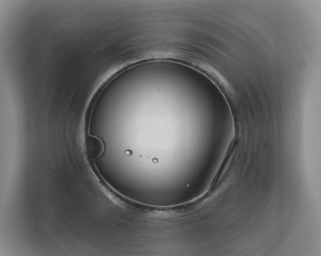 X0000111040894200907021556