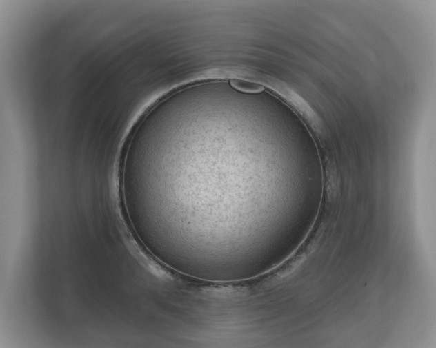 X0000111040896200907021556