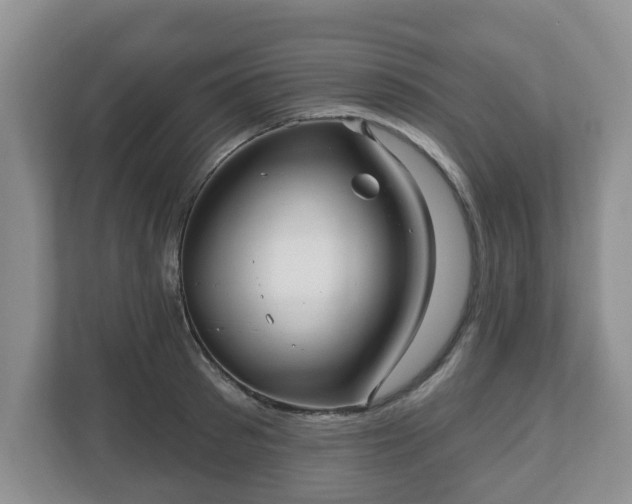 X0000111040897200907021556