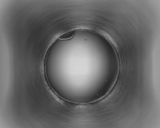 X0000111040898200907021556