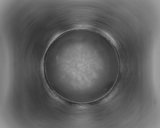X0000111040899200907021556