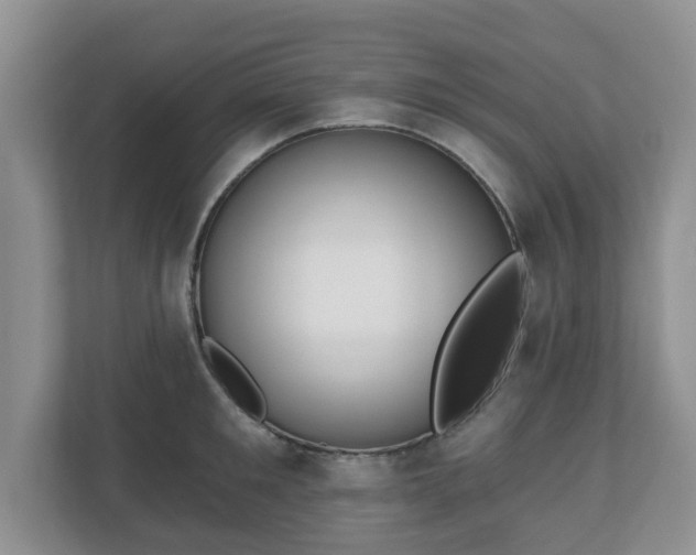 X0000111040901200907021556
