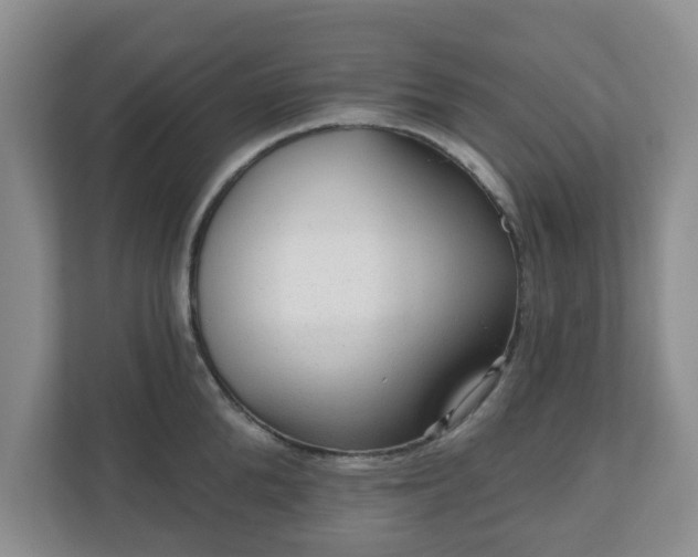 X0000111040904200907021556