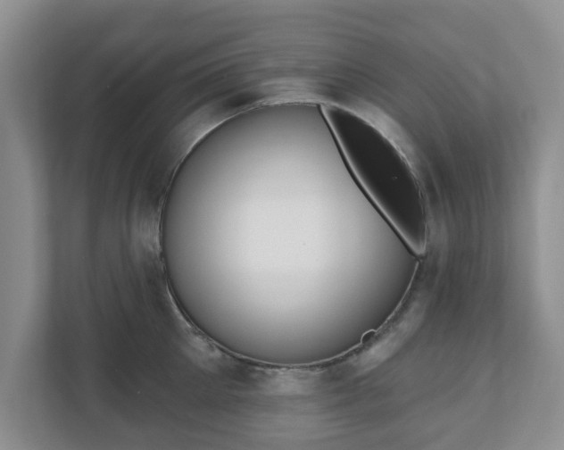 X0000111040905200907021556