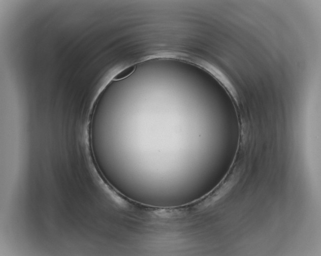 X0000111040906200907021556
