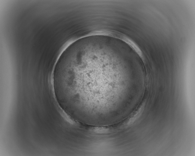 X0000111040907200907021556