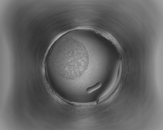 X0000111040908200907021556