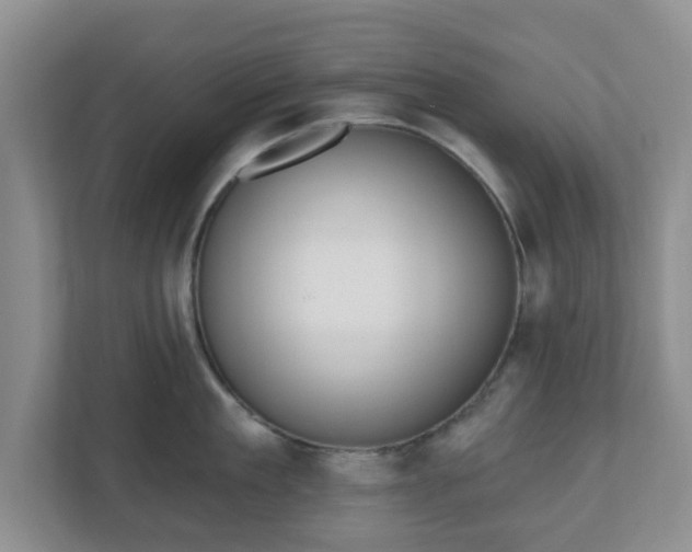 X0000111040909200907021556