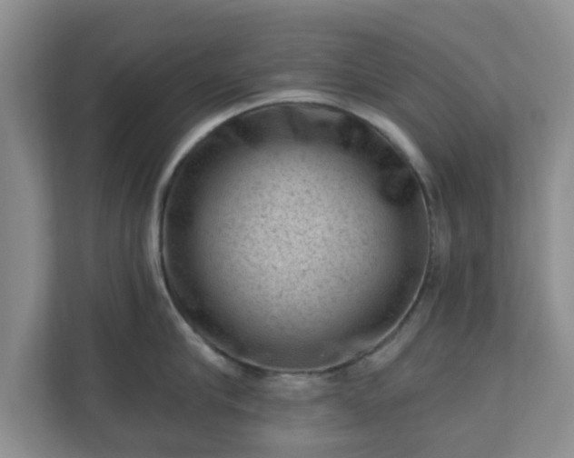 X0000111040910200907021556