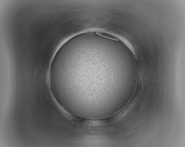 X0000111040911200907021556
