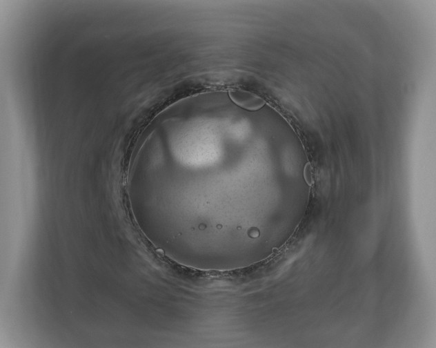 X0000111040913200907021555