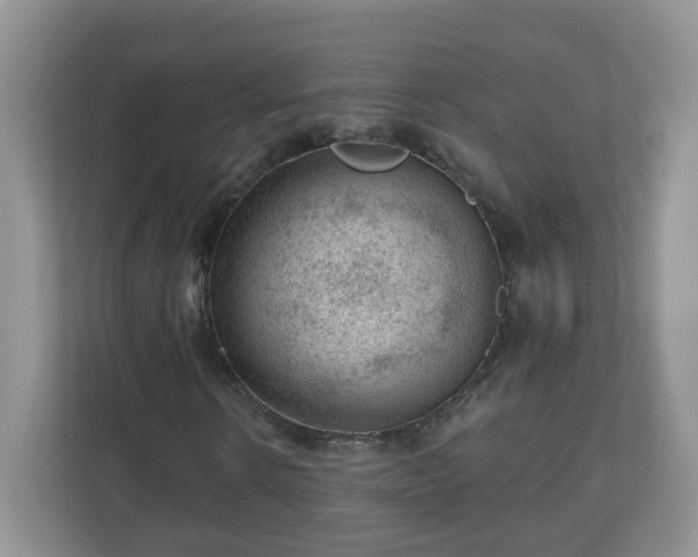 X0000111040914200907021555