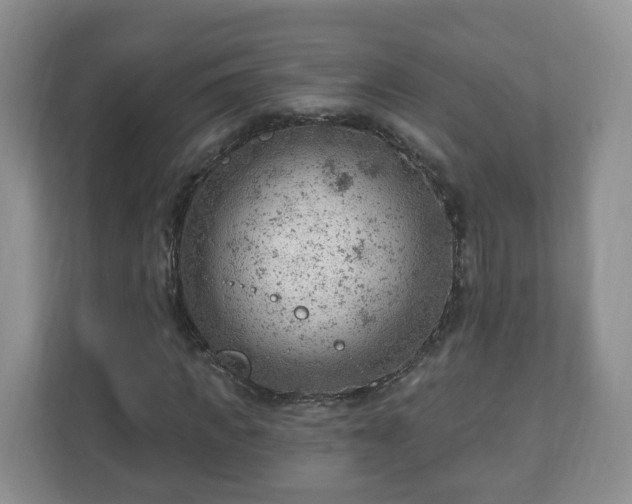 X0000111040917200907021555