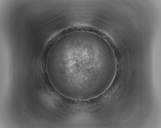 X0000111040919200907021555