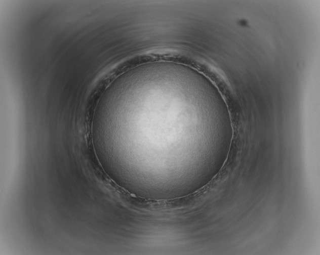 X0000111040920200907021555