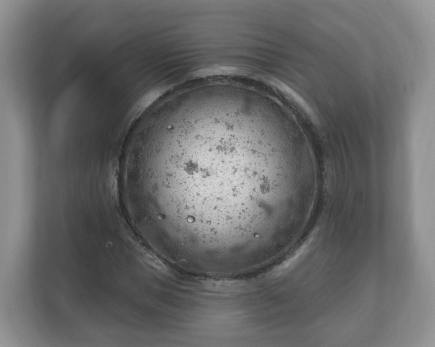 X0000111040921200907021555