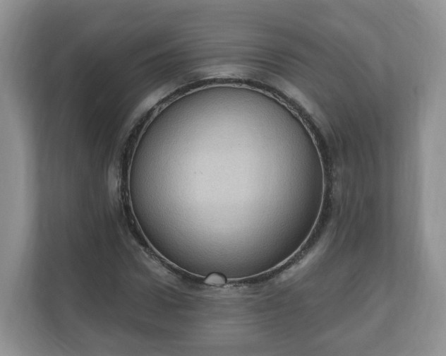 X0000111040922200907021555