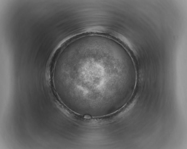 X0000111040923200907021555