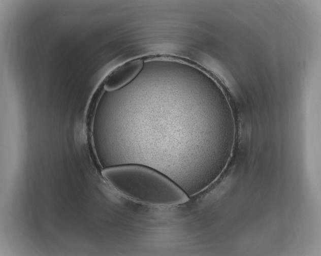 X0000111040924200907021555