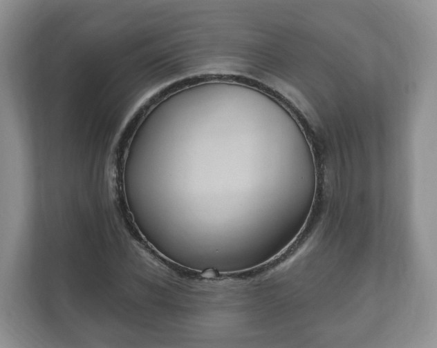 X0000111040926200907021555