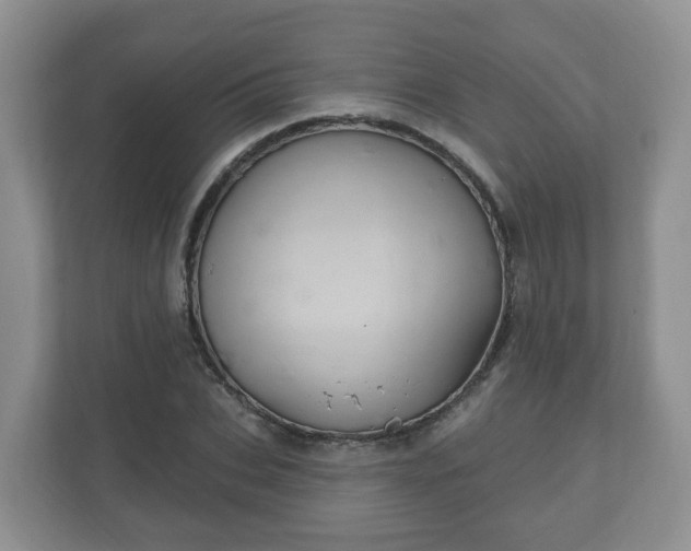 X0000111040927200907021555