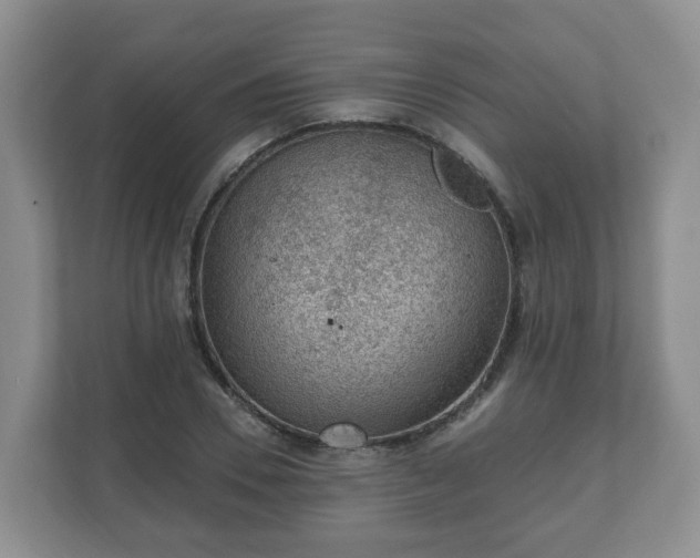 X0000111040930200907021555
