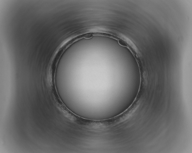 X0000111040931200907021555