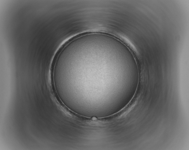 X0000111040932200907021555