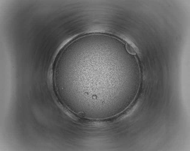 X0000111040933200907021555
