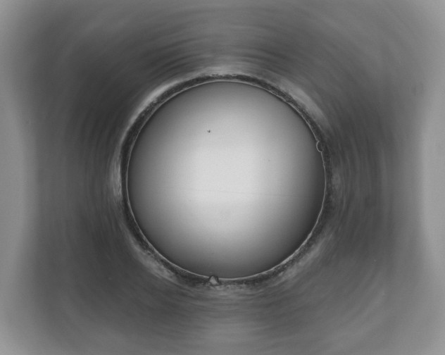X0000111040934200907021555