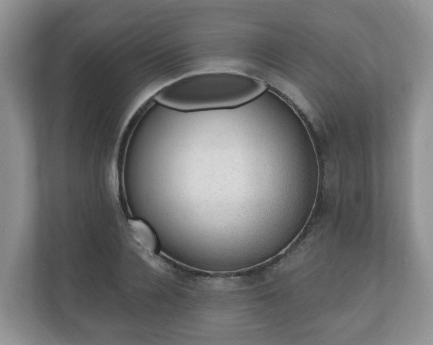 X0000111040936200907021555