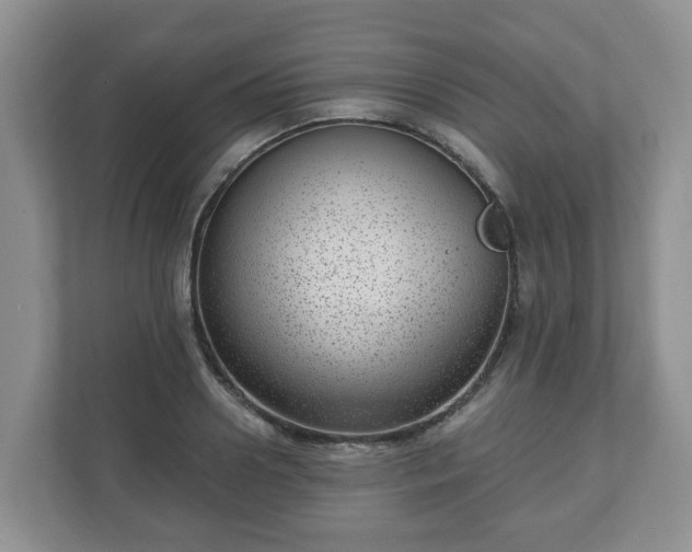 X0000111040938200907021555