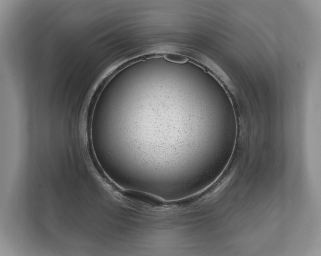 X0000111040939200907021555