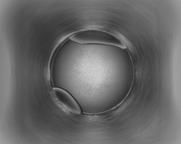 X0000111040940200907021555