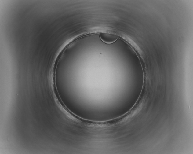 X0000111040941200907021555