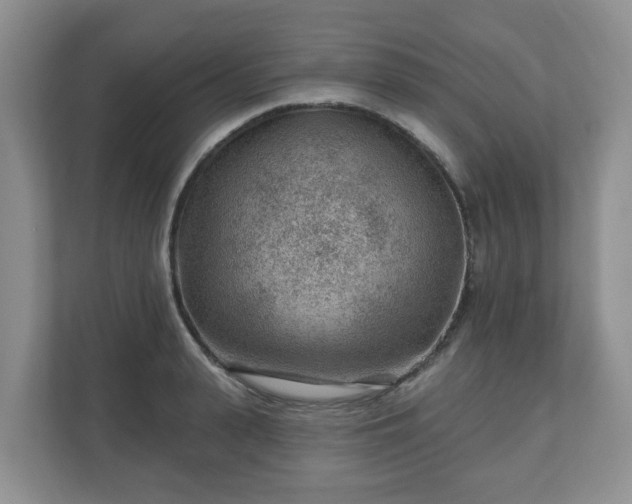 X0000111040943200907021555