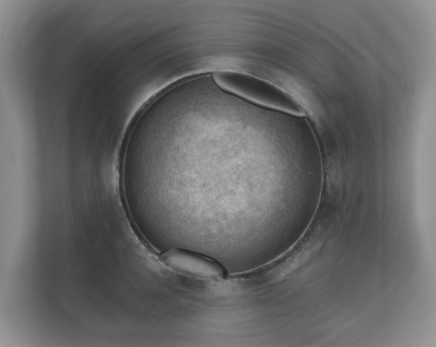 X0000111040944200907021555