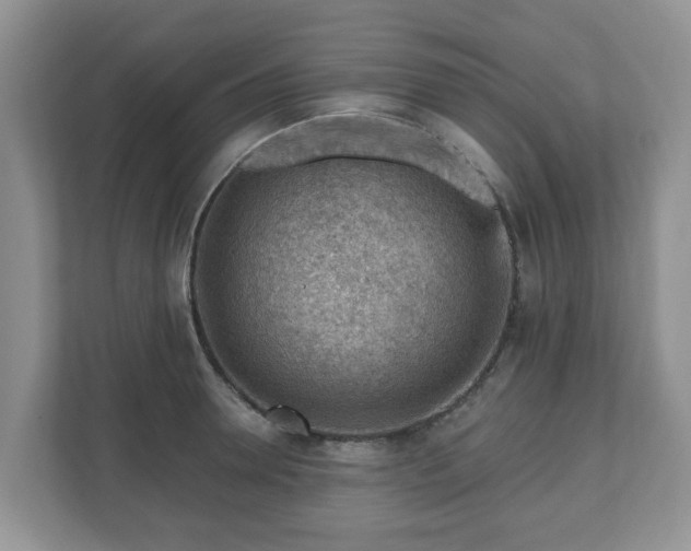 X0000111040946200907021555