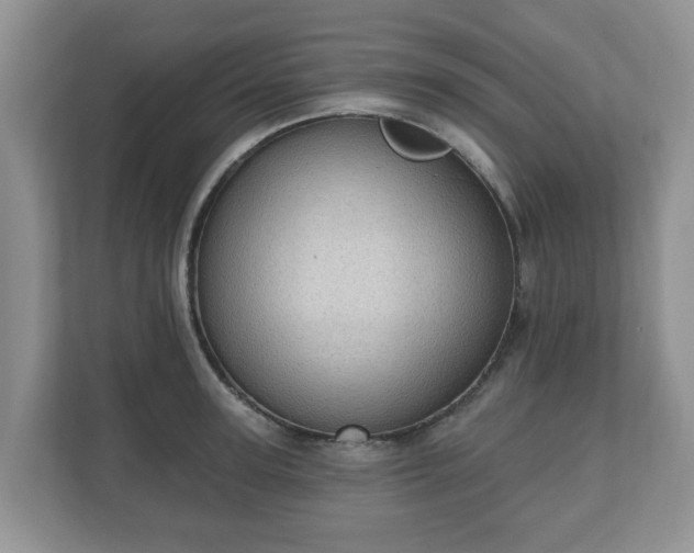 X0000111040947200907021555
