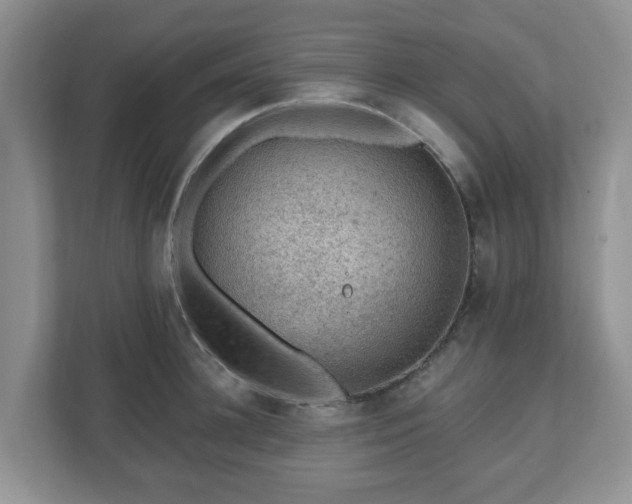 X0000111040948200907021555
