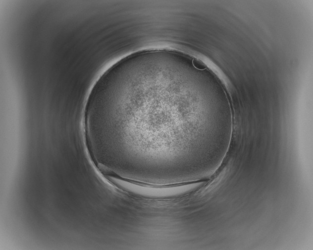 X0000111040951200907021555