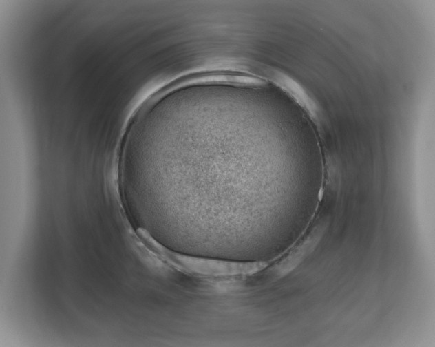 X0000111040952200907021555