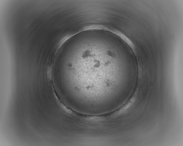 X0000111040953200907021555
