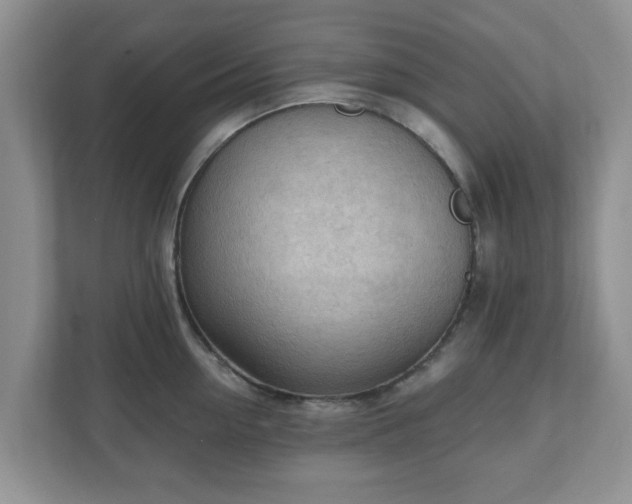 X0000111040954200907021555