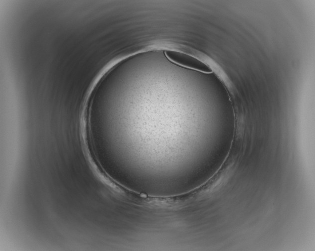 X0000111040955200907021555