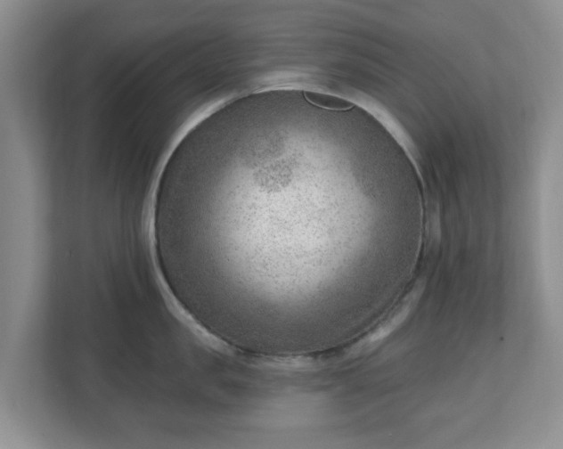 X0000111040957200907021556