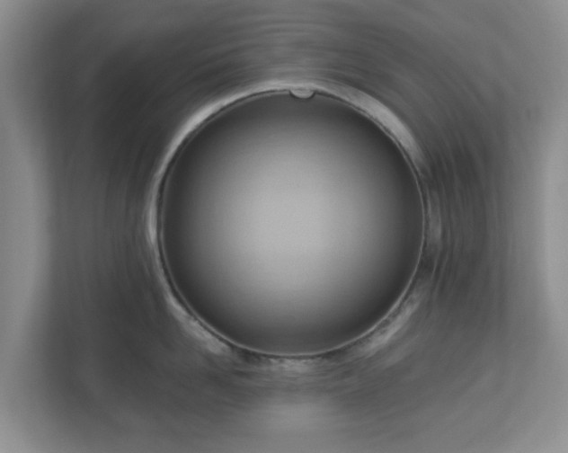 X0000111040958200907021556