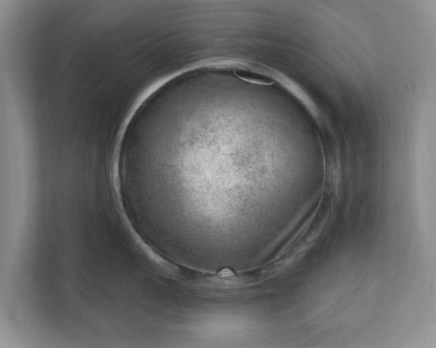 X0000111040959200907021556