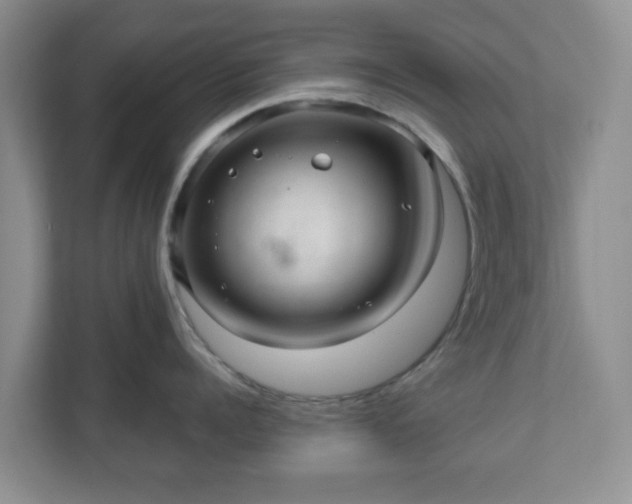 X0000111040960200907021556