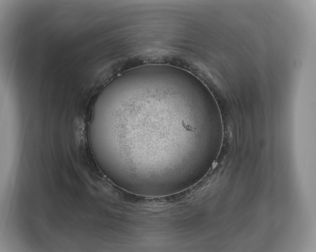X0000111040964200907021555